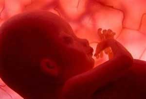 راز سقط جنین های غیرقانونی در پاکدشت برملا شد
